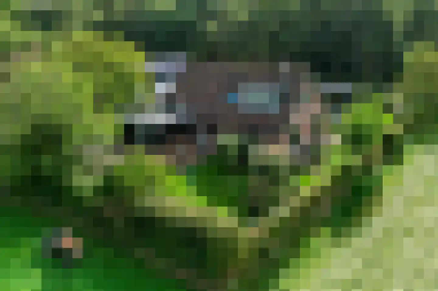Woudhuizerweg 59 Apeldoorn thumbnail 88