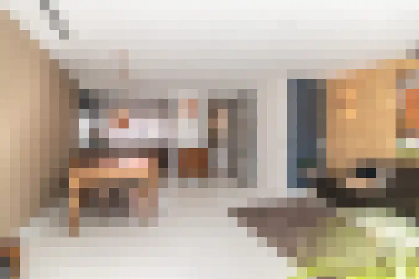 Woudlaan 15 Zoetermeer thumbnail 8