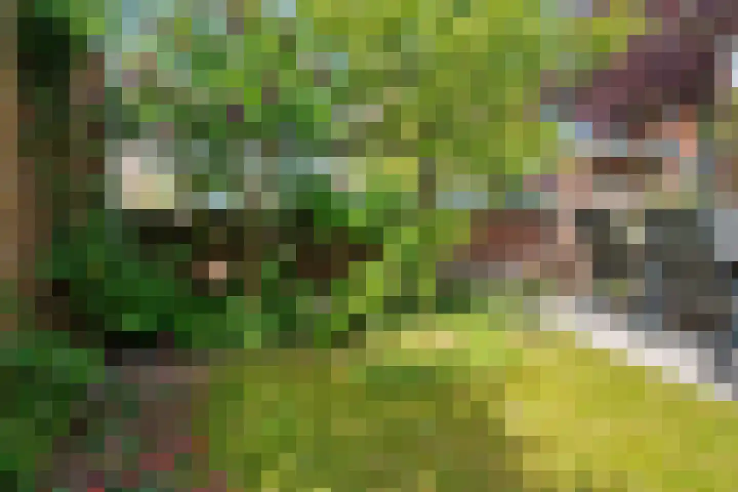 Woudlaan 19 Zoetermeer thumbnail 25