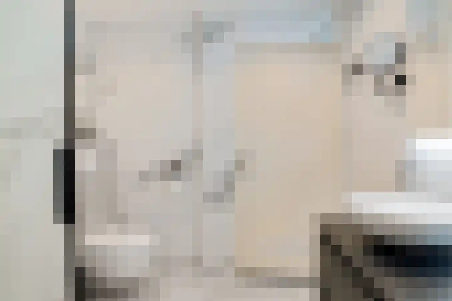Woudlaan 19 Zoetermeer thumbnail 35