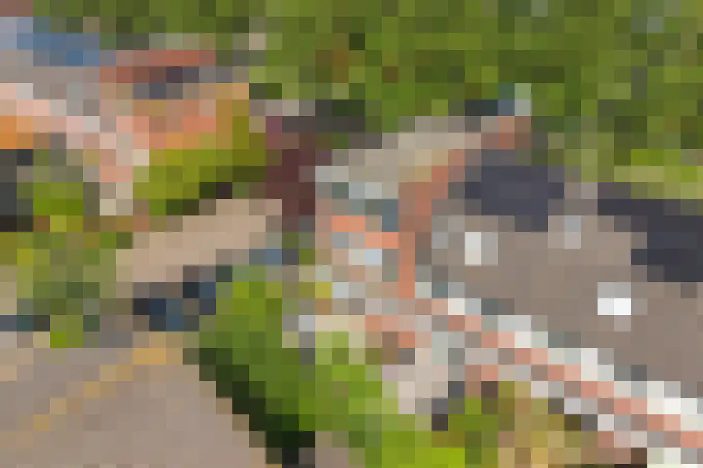 Woudlaan 19 Zoetermeer thumbnail 47