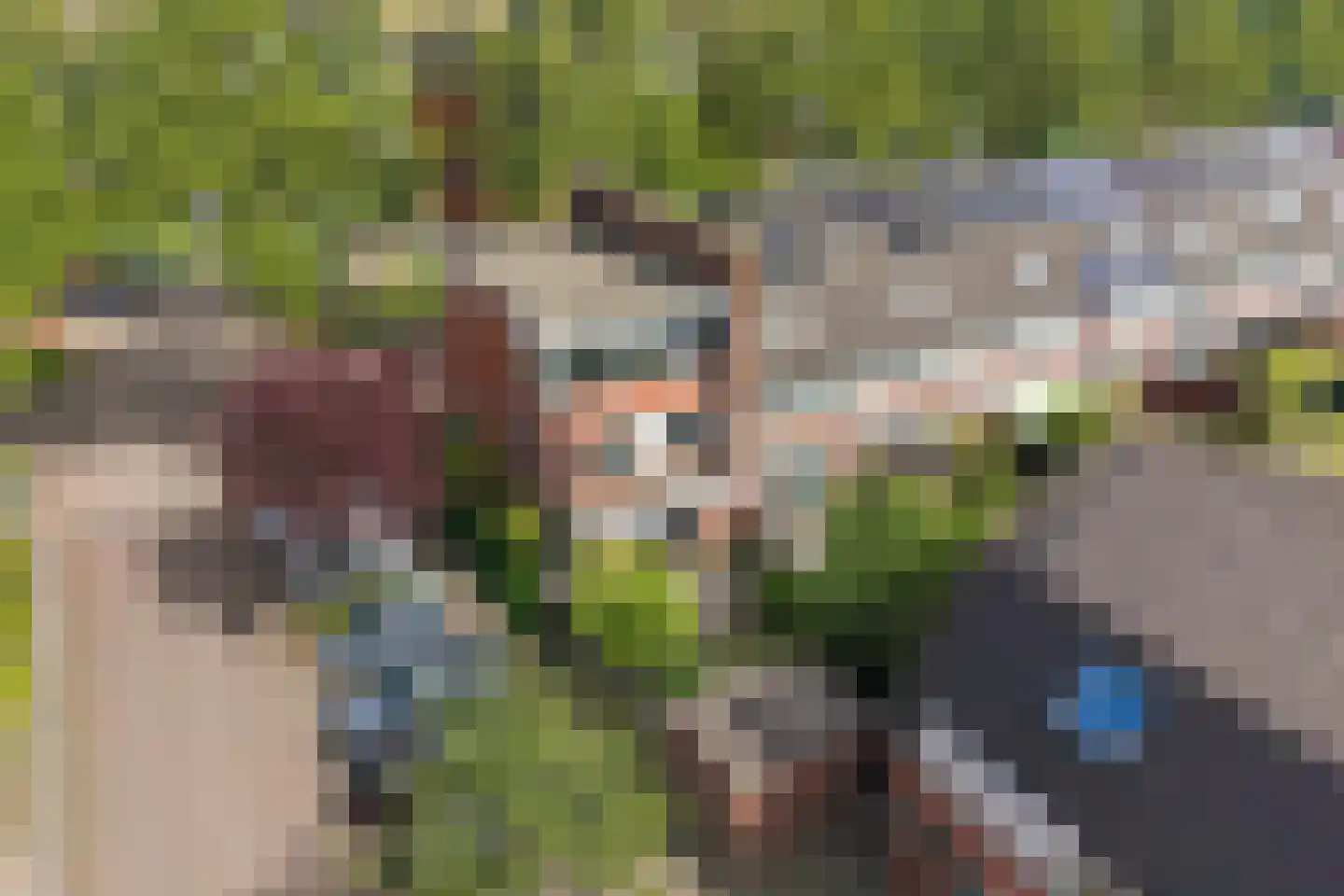 Woudlaan 19 Zoetermeer thumbnail 5