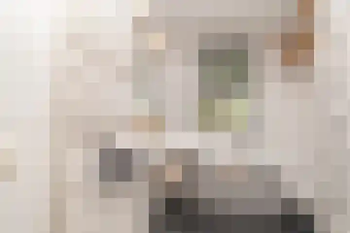 Woudlaan 31 Zoetermeer thumbnail 17