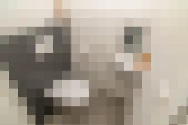 Woudlaan 31 Zoetermeer thumbnail 9