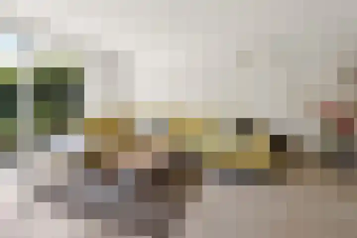 Woudlaar 32 Almere thumbnail 14