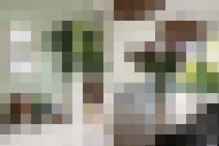 Woudlaar 32 Almere thumbnail 17