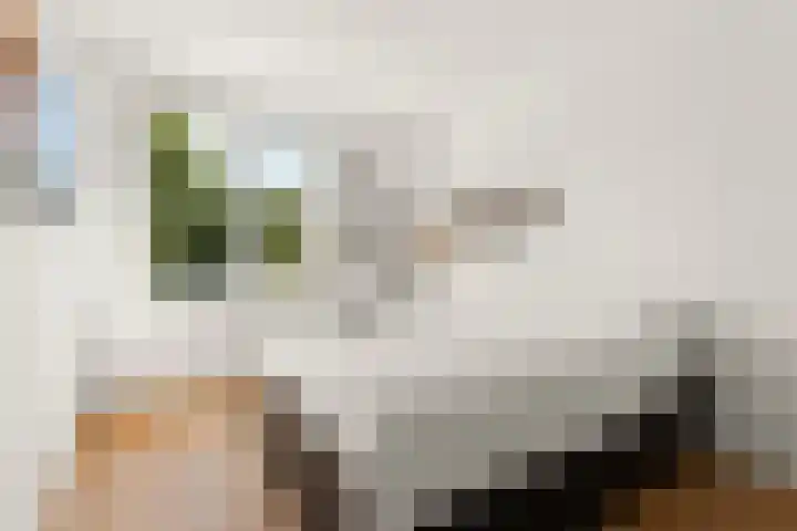 Woudlaar 32 Almere thumbnail 26