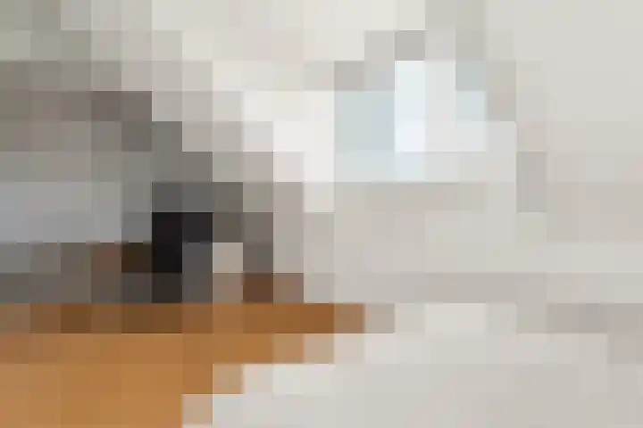 Woudlaar 32 Almere thumbnail 34