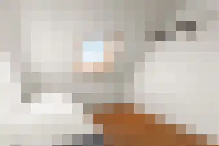 Woudlaar 32 Almere thumbnail 37