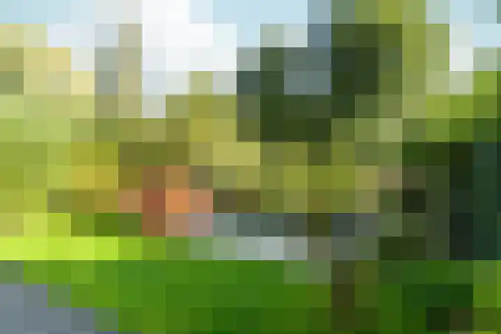 Woudlaar 32 Almere thumbnail 39