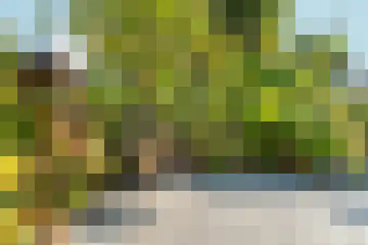 Woudlaar 32 Almere thumbnail 41