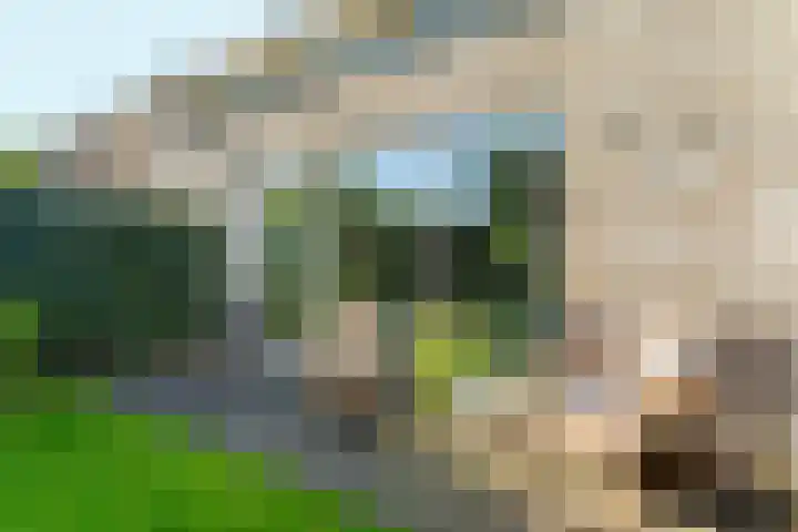 Woudlaar 32 Almere thumbnail 43
