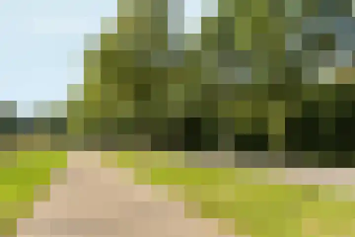 Woudlaar 32 Almere thumbnail 46
