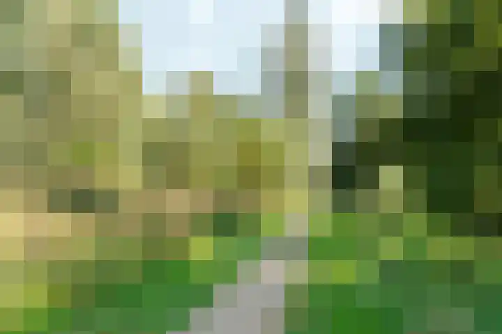 Woudlaar 32 Almere thumbnail 47