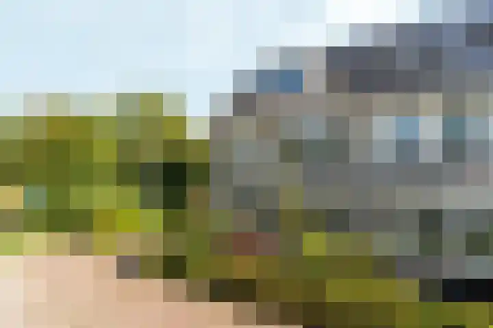 Woudlaar 32 Almere thumbnail 49