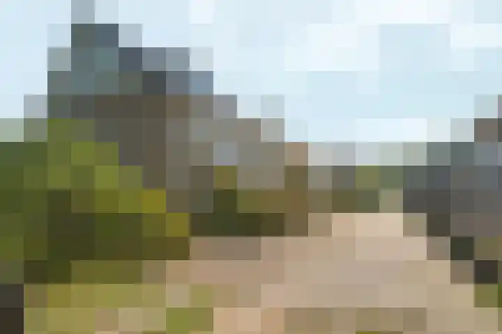 Woudlaar 32 Almere thumbnail 52
