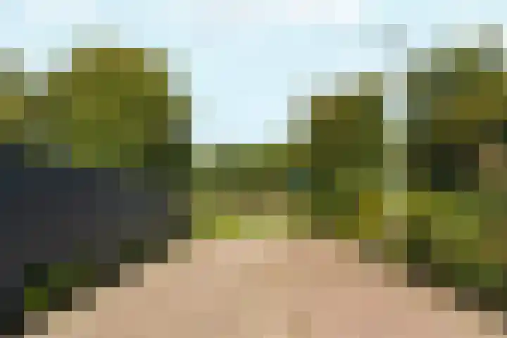 Woudlaar 32 Almere thumbnail 53