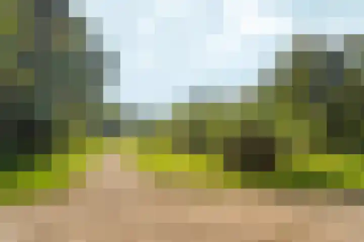 Woudlaar 32 Almere thumbnail 54