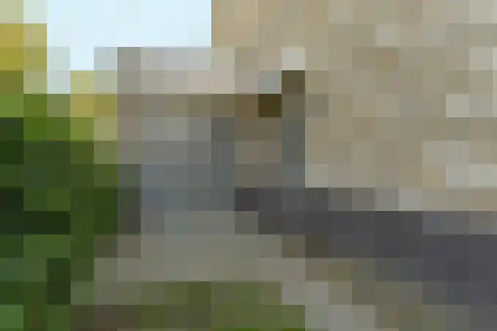Woudlaar 32 Almere thumbnail 6