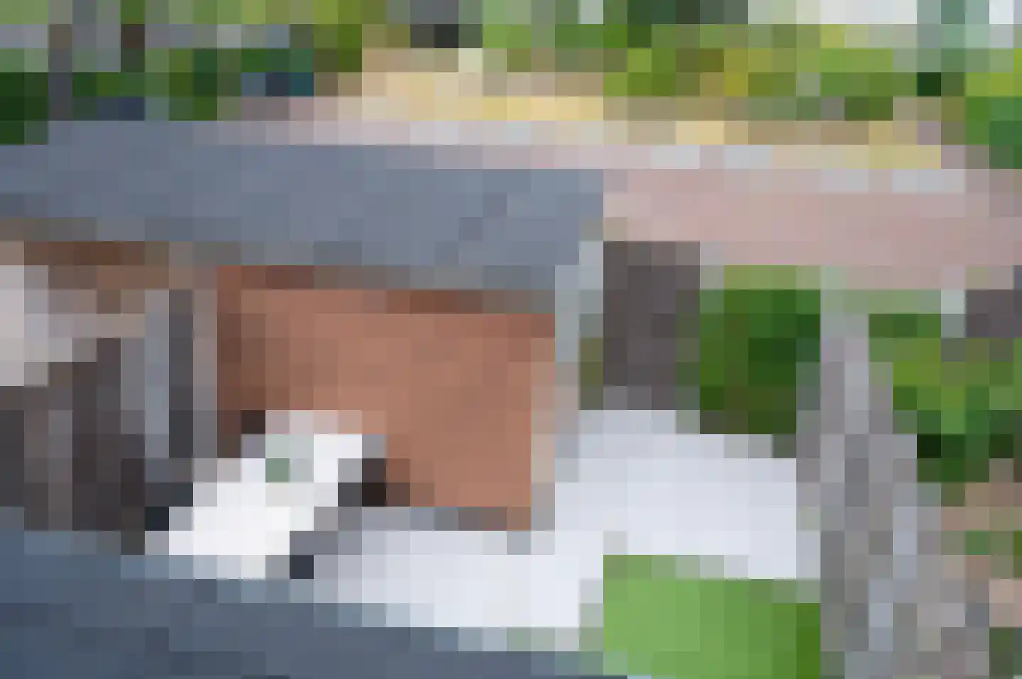 Woudlaar 45 Almere thumbnail 39