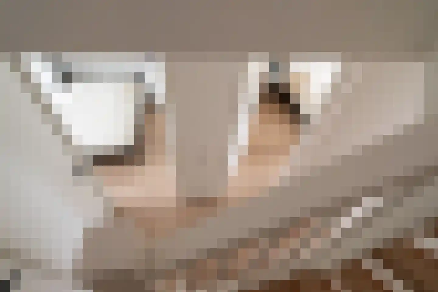 Woudlaar 45 Almere thumbnail 39