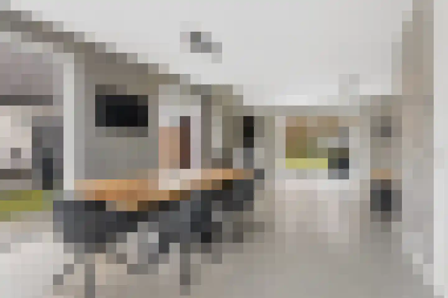 Woudlaar 48 Almere thumbnail 11