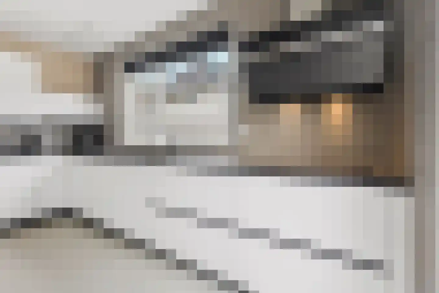 Woudlaar 48 Almere thumbnail 22