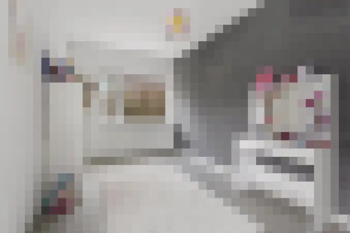 Woudlaar 48 Almere thumbnail 37
