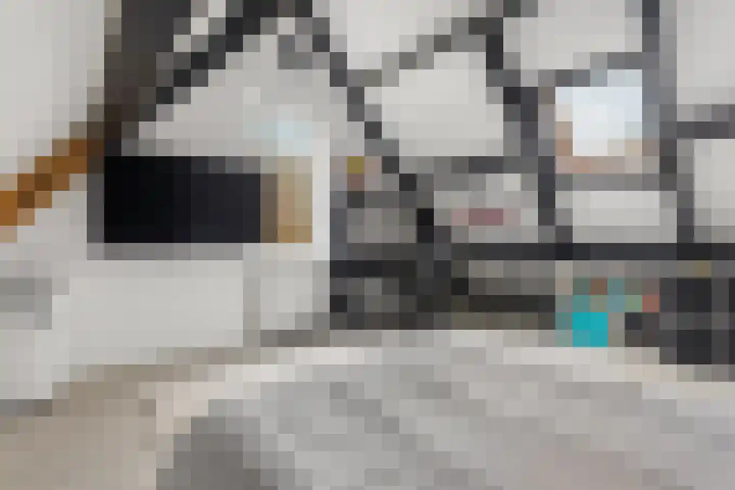Woudlaar 48 Almere thumbnail 39