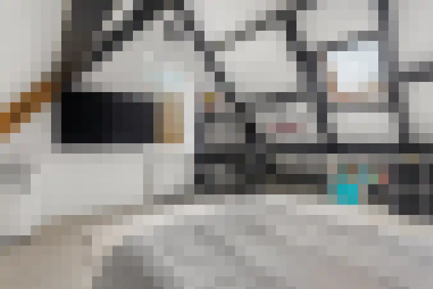 Woudlaar 48 Almere thumbnail 47