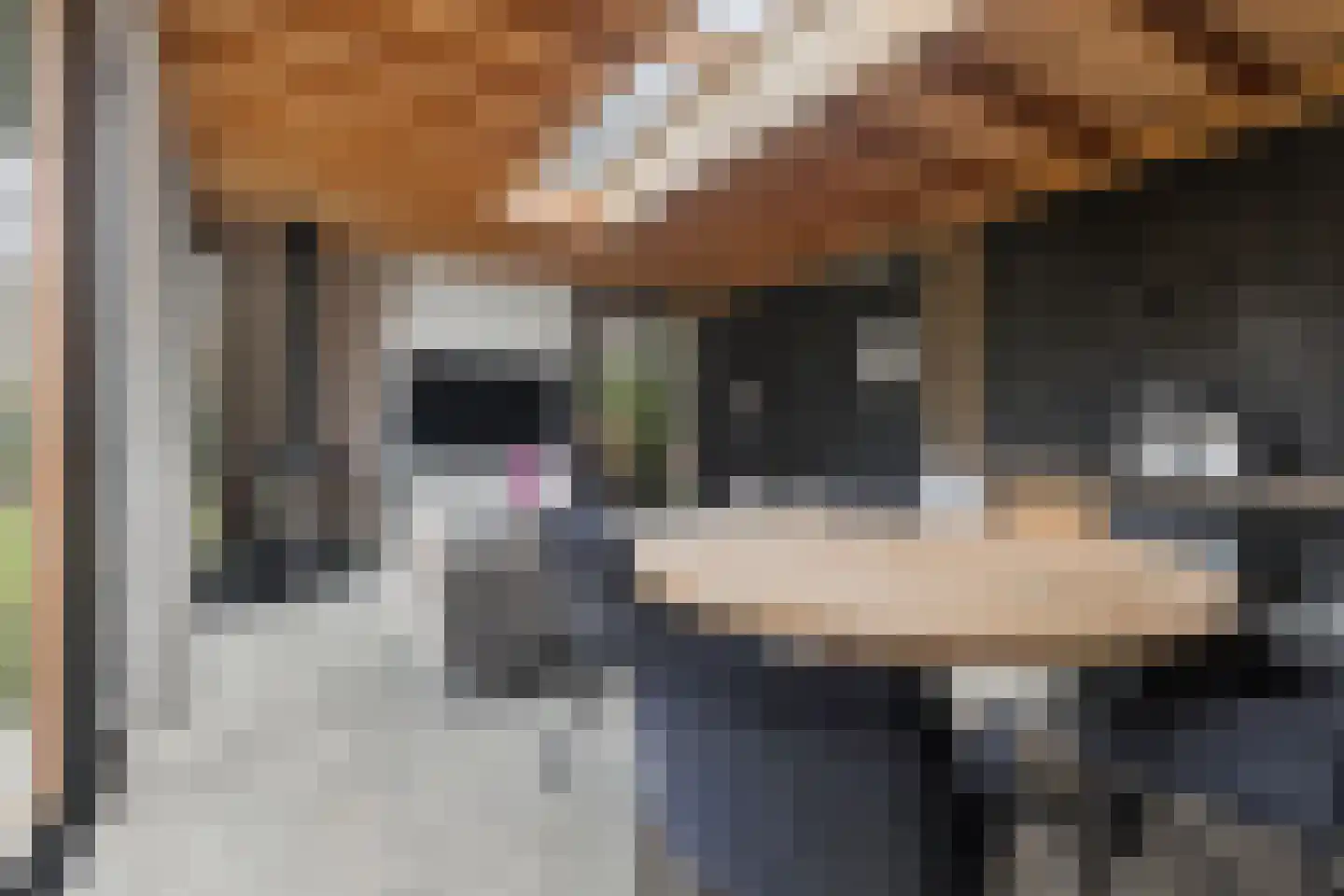 Woudlaar 48 Almere thumbnail 50