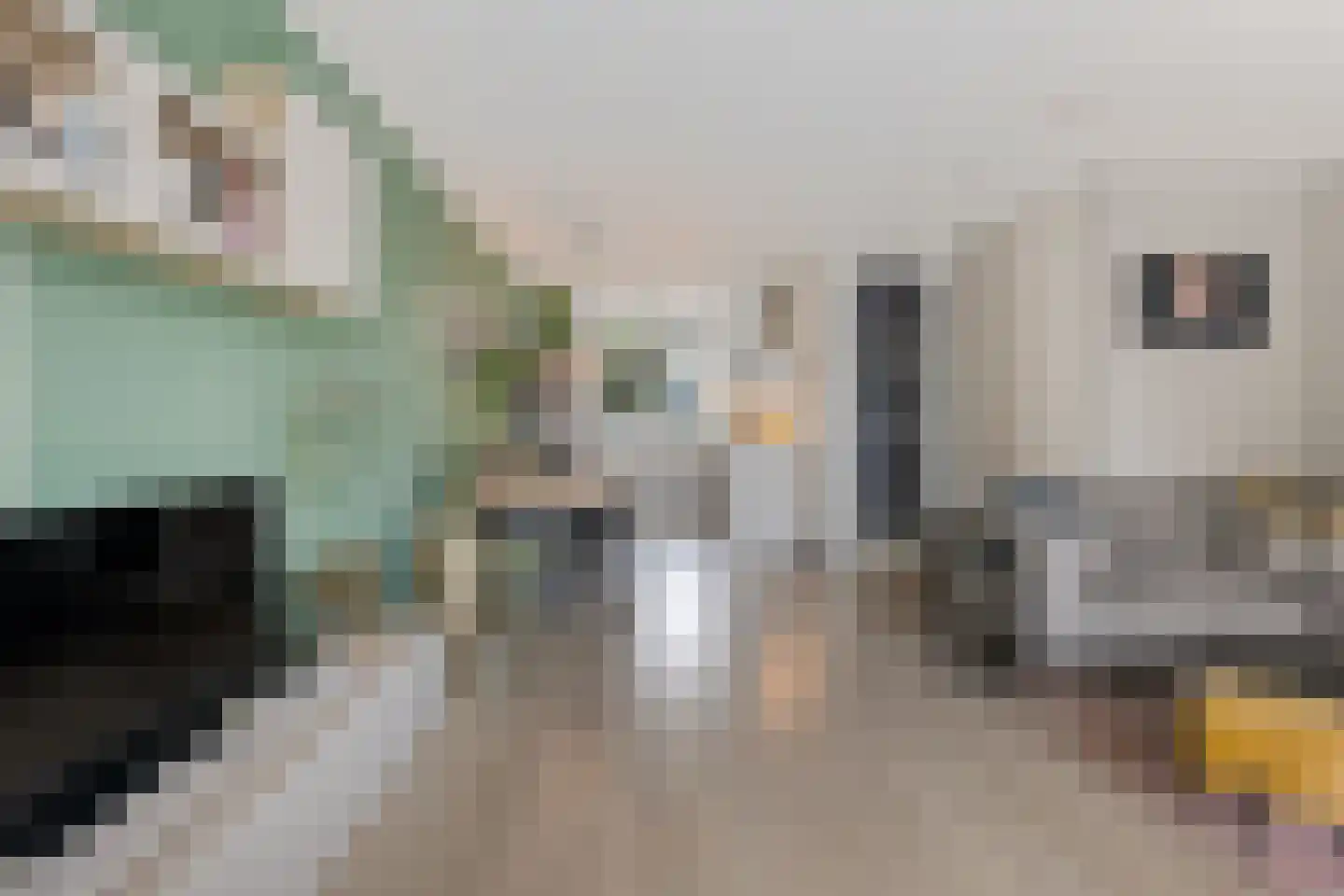 Woudlaar 53 Almere thumbnail 8