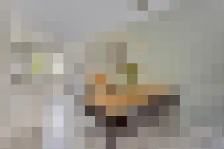 Woudlaar 55 Almere thumbnail 10