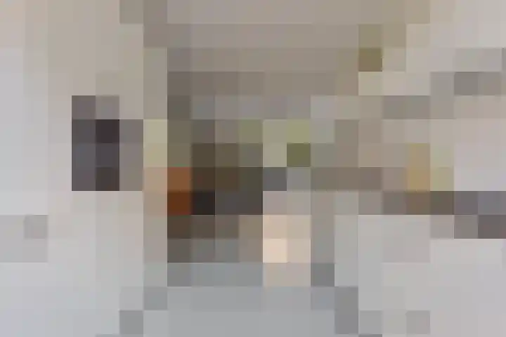 Woudlaar 55 Almere thumbnail 14