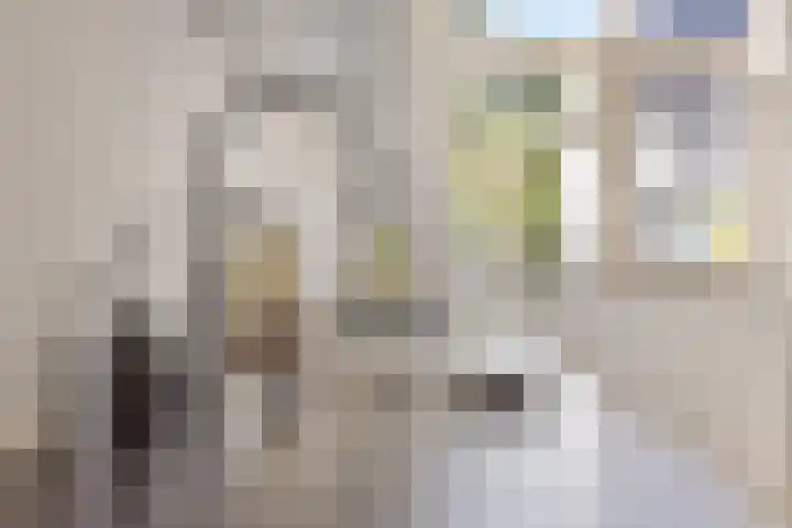 Woudlaar 55 Almere thumbnail 15