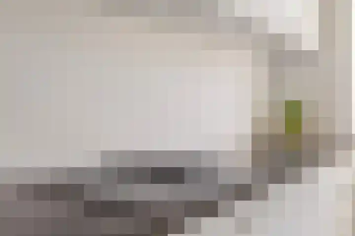 Woudlaar 55 Almere thumbnail 16
