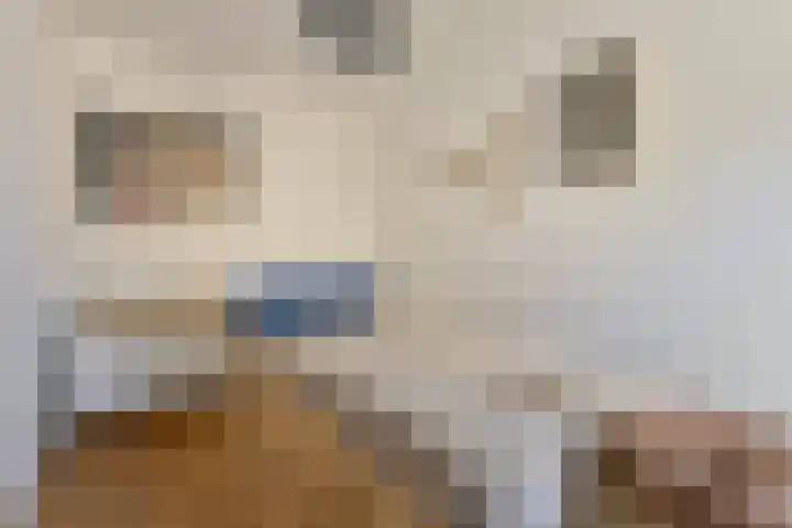 Woudlaar 55 Almere thumbnail 21