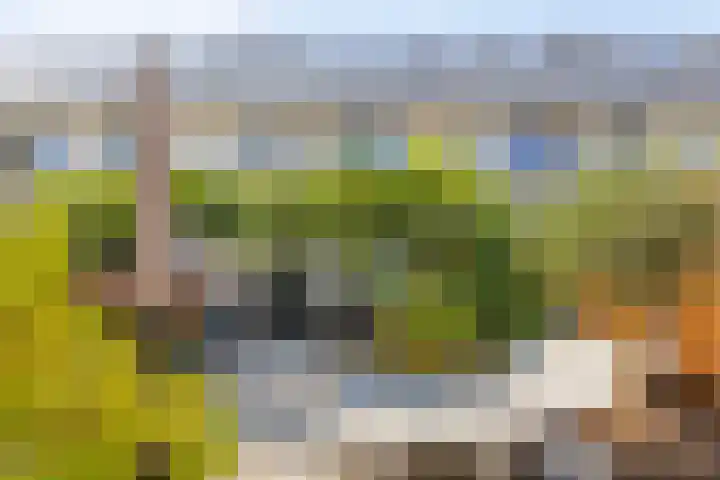 Woudlaar 55 Almere thumbnail 31