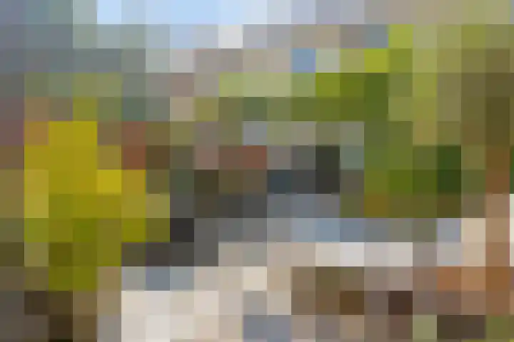 Woudlaar 55 Almere thumbnail 32
