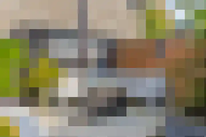 Woudlaar 55 Almere thumbnail 34