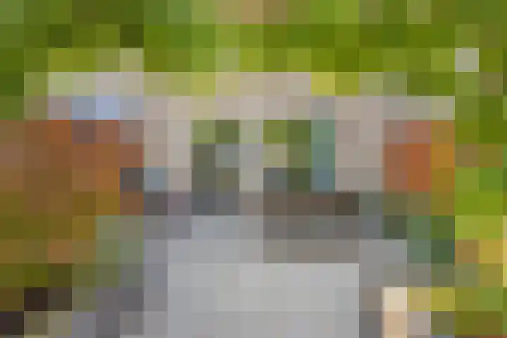 Woudlaar 55 Almere thumbnail 35