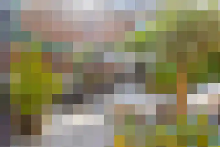 Woudlaar 55 Almere thumbnail 37