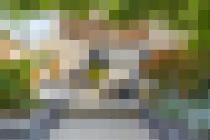Woudlaar 55 Almere thumbnail 38