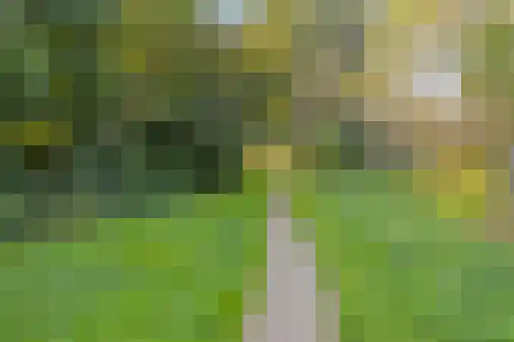 Woudlaar 55 Almere thumbnail 40