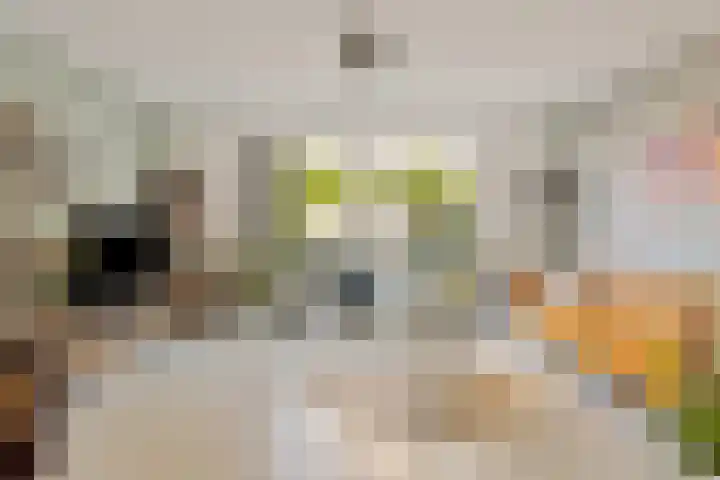 Woudlaar 55 Almere thumbnail 6