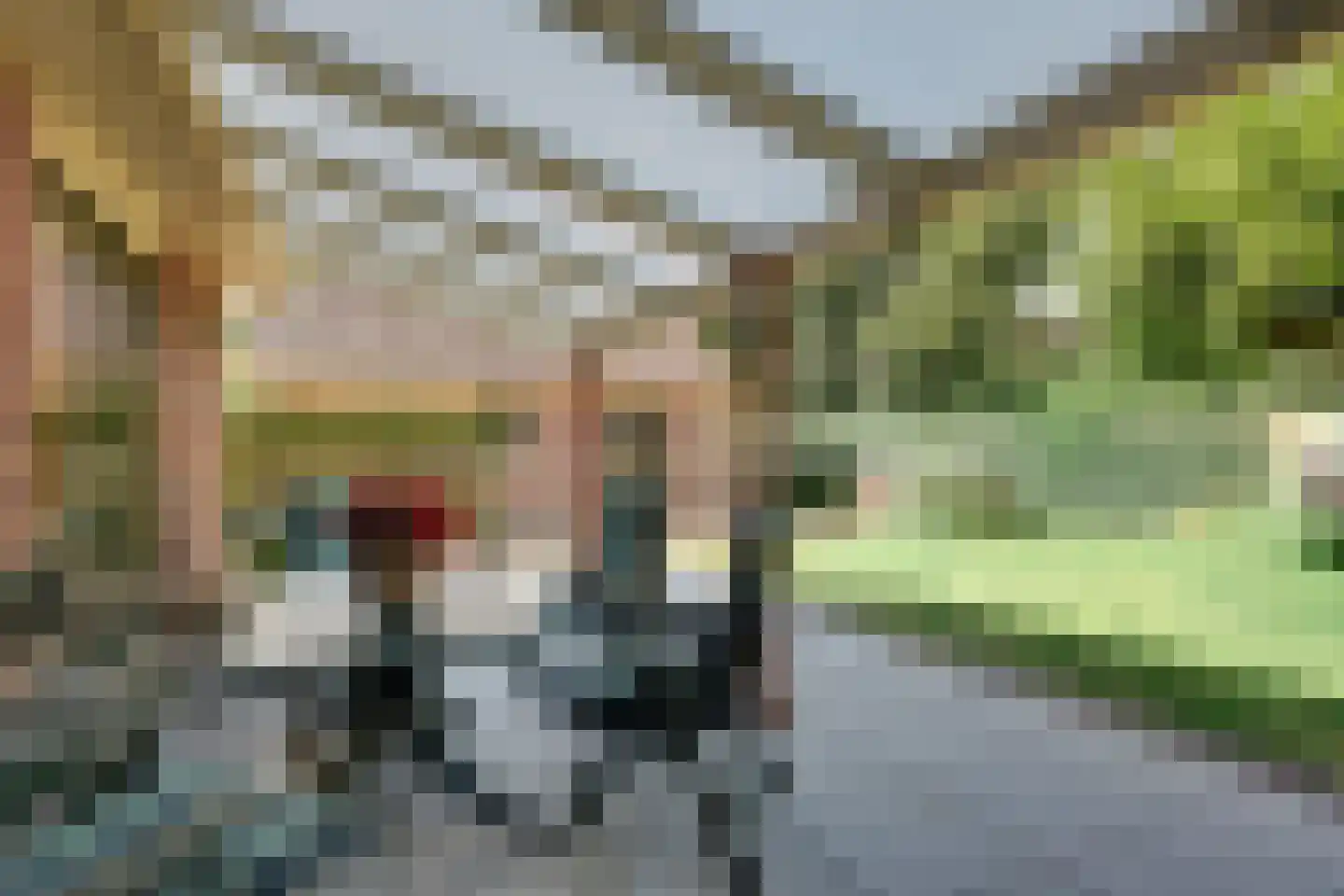 Woudmeerweg 40 Oudkarspel thumbnail 36
