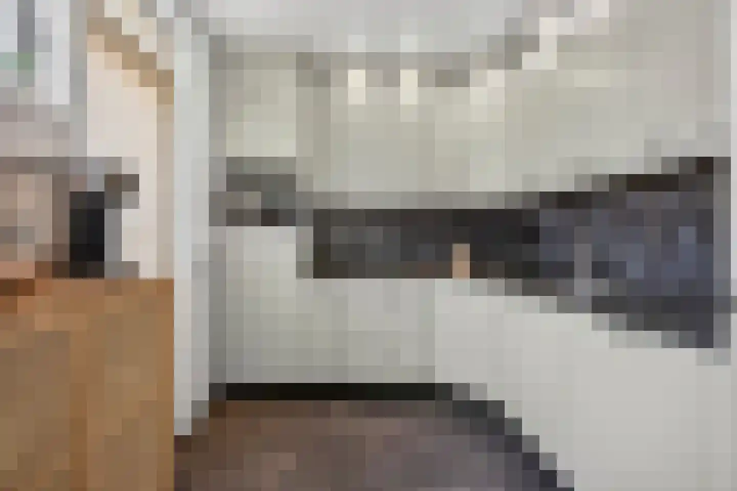 Woudrichemstraat 117 Arnhem thumbnail 11
