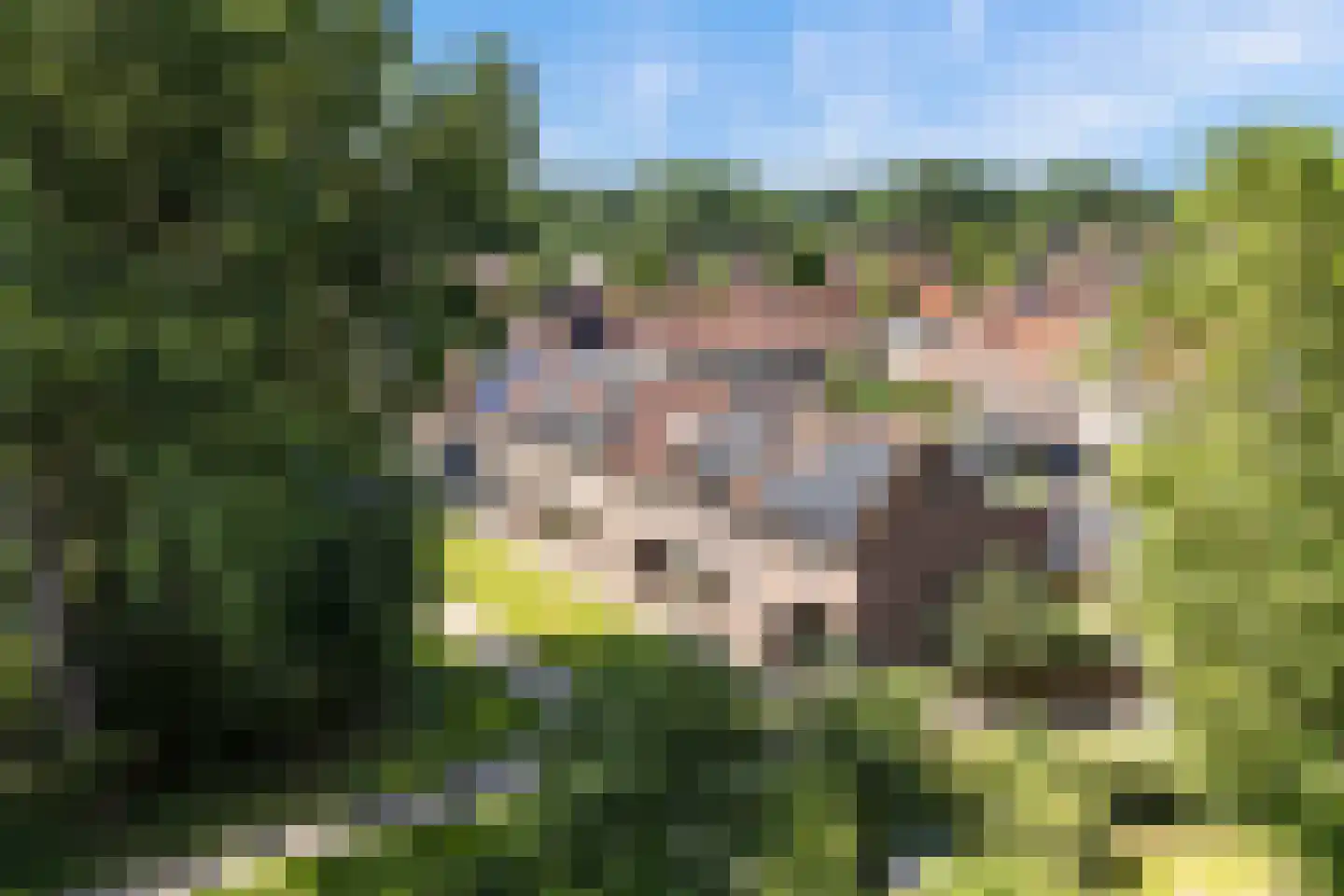 Woudrichemstraat 117 Arnhem thumbnail 28
