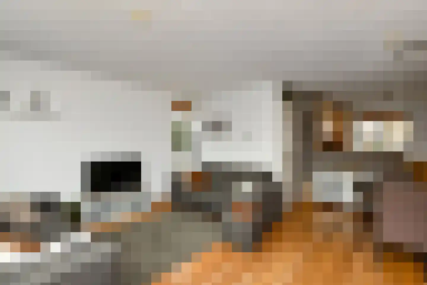 Woudrichemstraat 141 Arnhem thumbnail 8