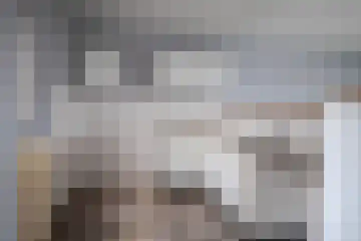Woudrichemstraat 17 Arnhem thumbnail 11